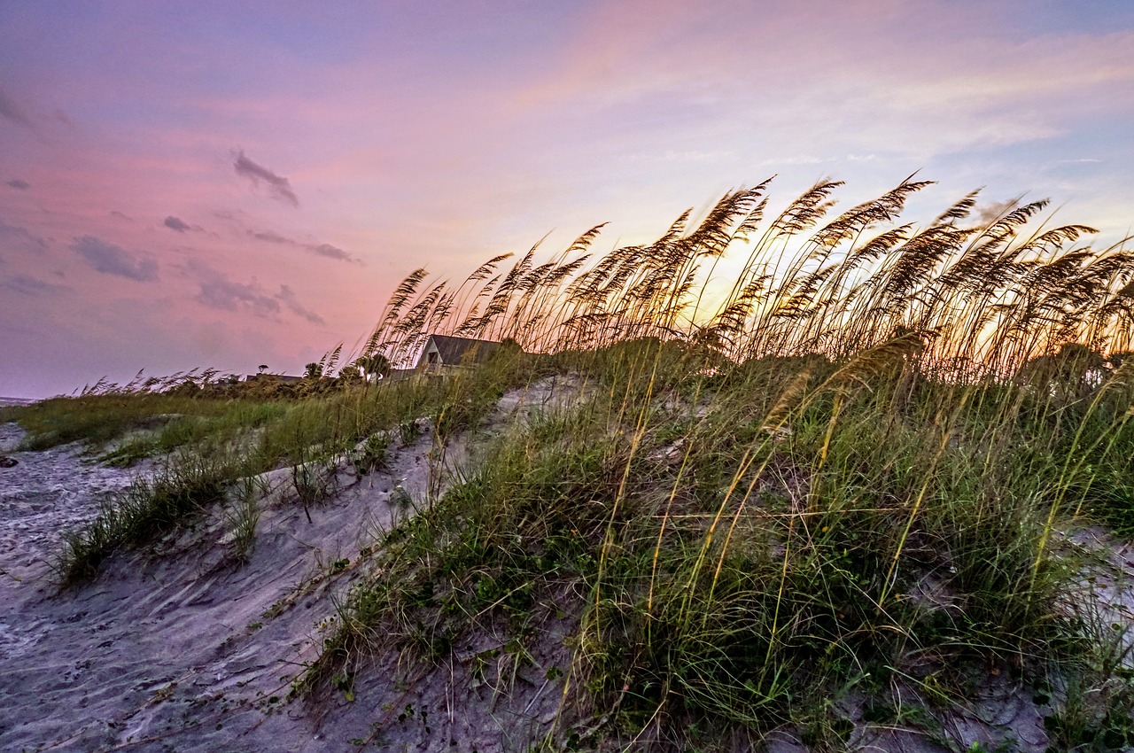 Hilton Head / Lowcountry, SC